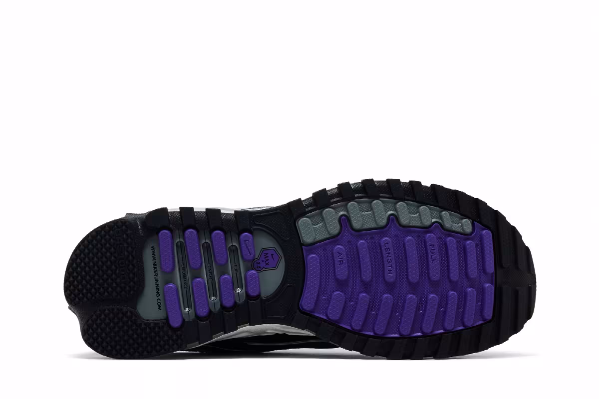 Nike Air Max TL 2.5 Wild Grape, view 5