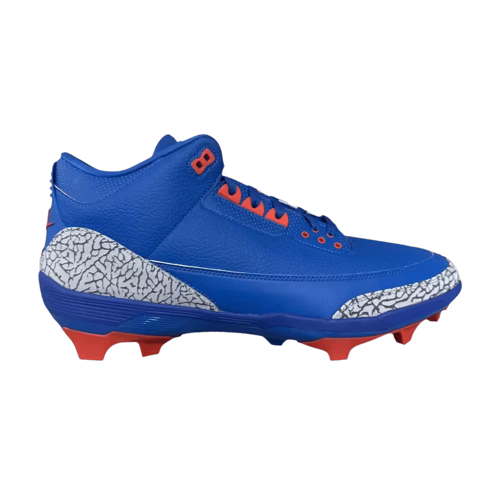 Nike Jordan 3 Force Savage Florida Gators PE