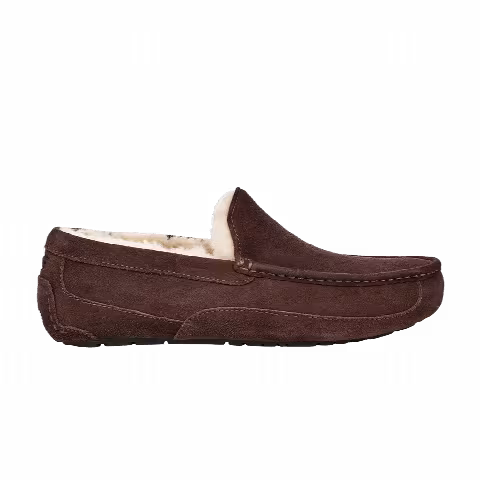 UGG Ascot Slipper 'Espresso'