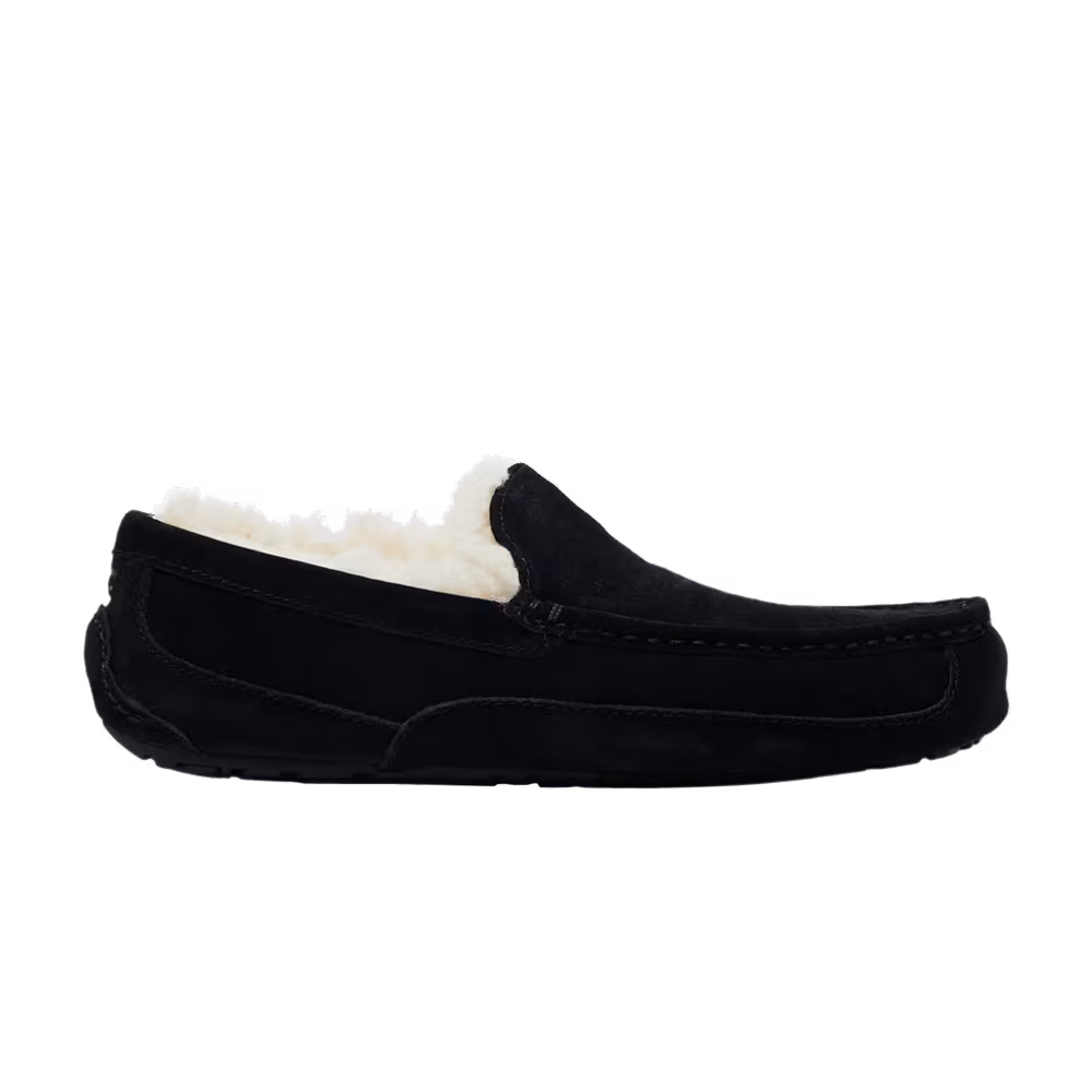 UGG Ascot Slipper Black