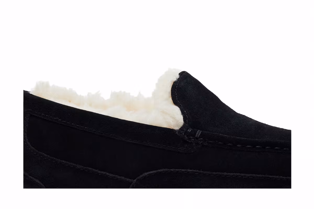 UGG Ascot Slipper Black, view 3