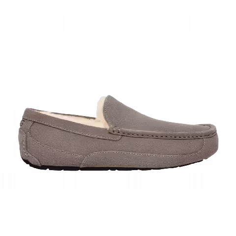 UGG Ascot Slipper 'Grey'
