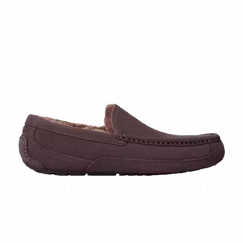 UGG Ascot Slipper 'Dusted Cocoa'
