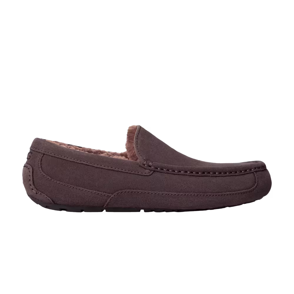 UGG Ascot Slipper Dusted Cocoa