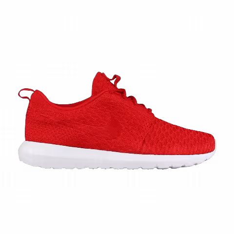 Nike Roshe NM Flyknit