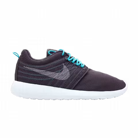 Nike Rosherun Dyn Fw Qs