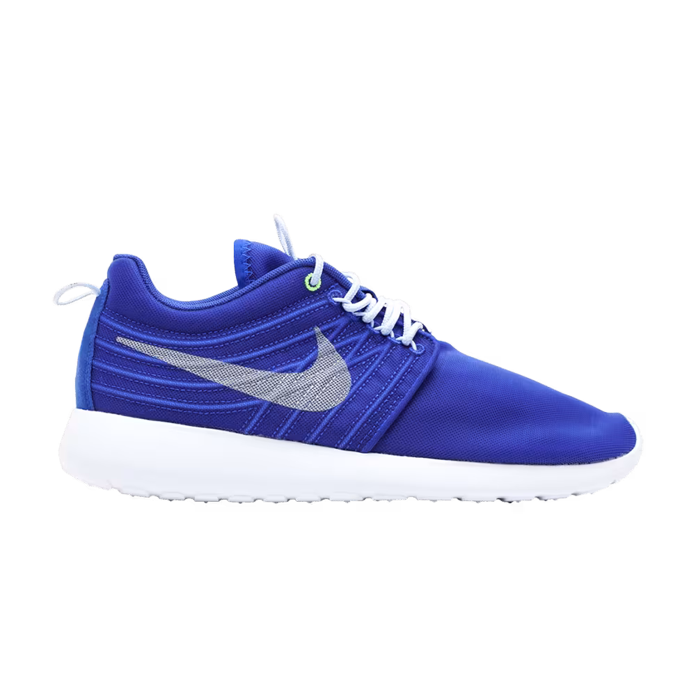 Nike Rosherun Dyn Fw Qs