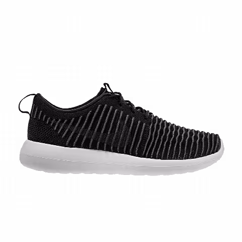 Nike Roshe Two Flyknit