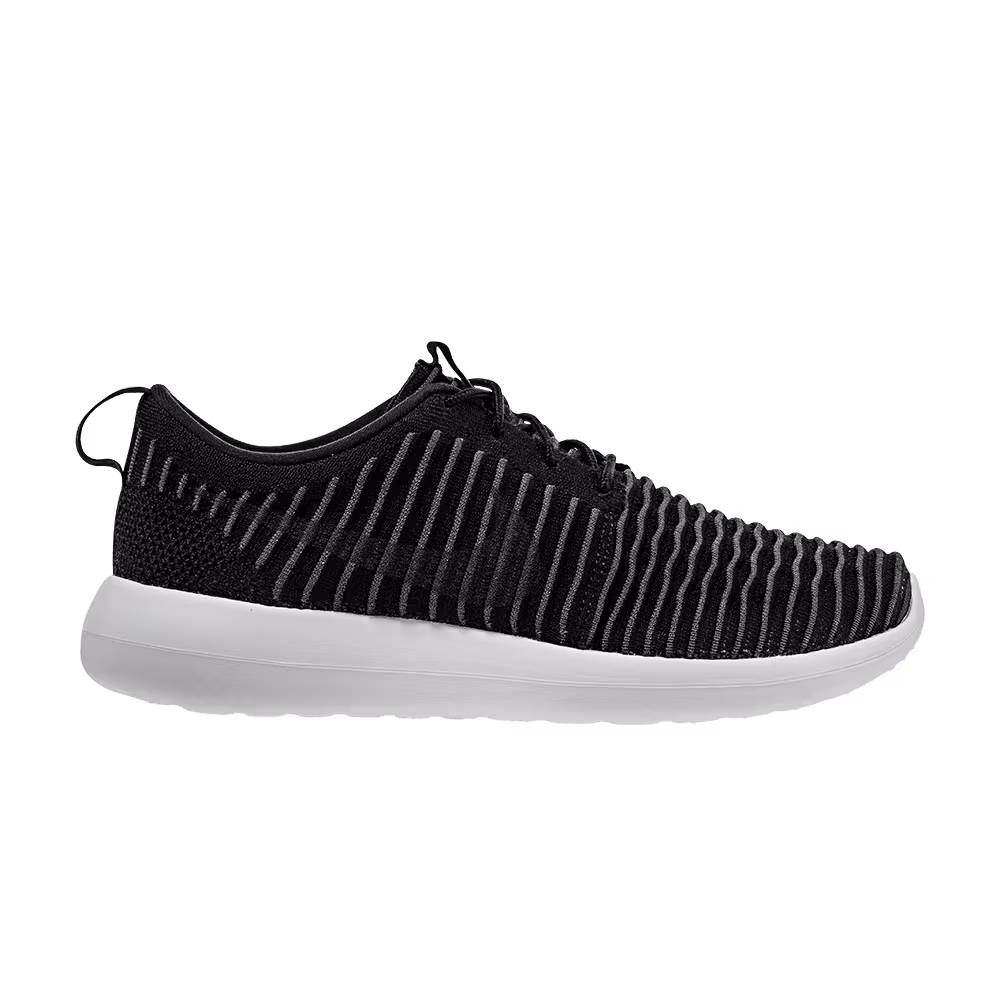 Nike Roshe Two Flyknit