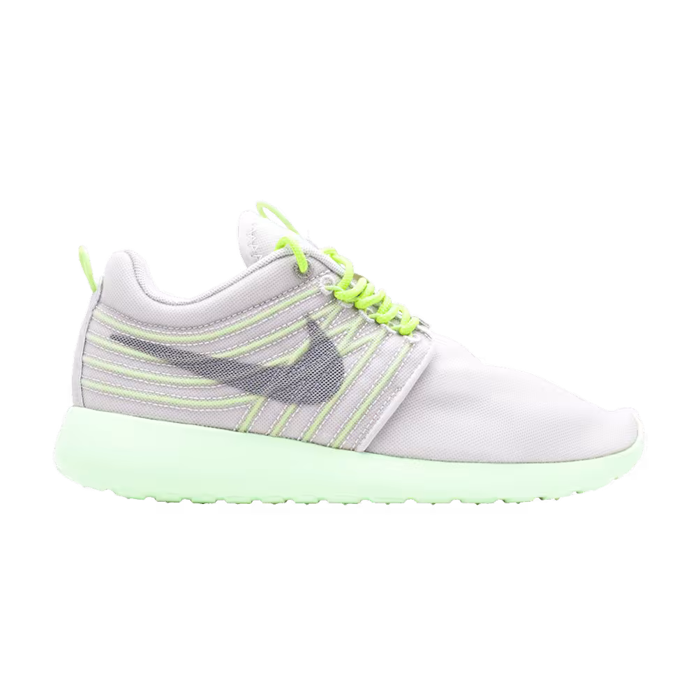 Nike Rosherun Dyn Fw Qs