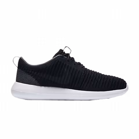 Nike Roshe Two Flyknit