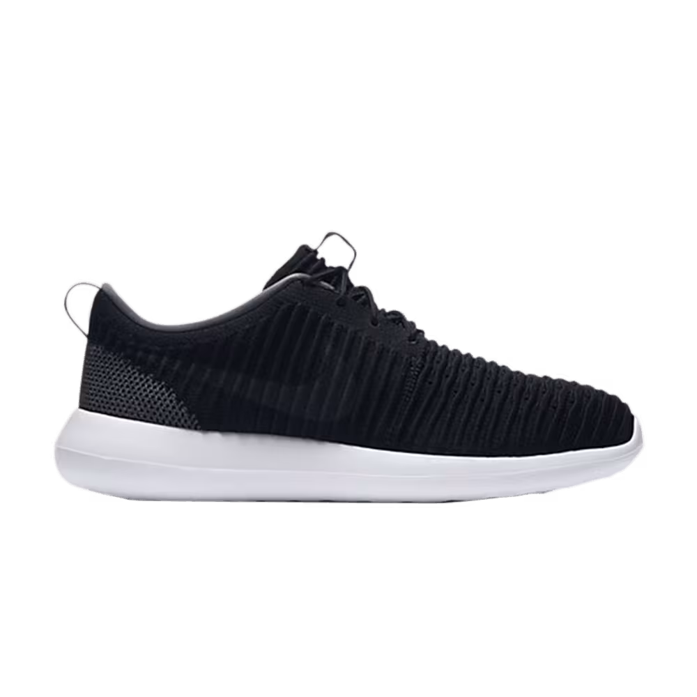 Nike Roshe Two Flyknit