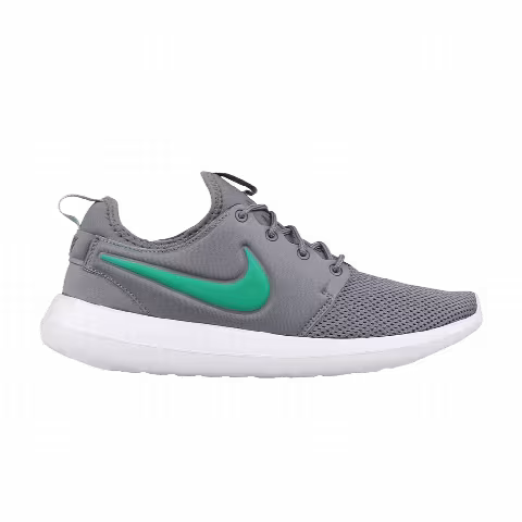 Nike Roshe Two