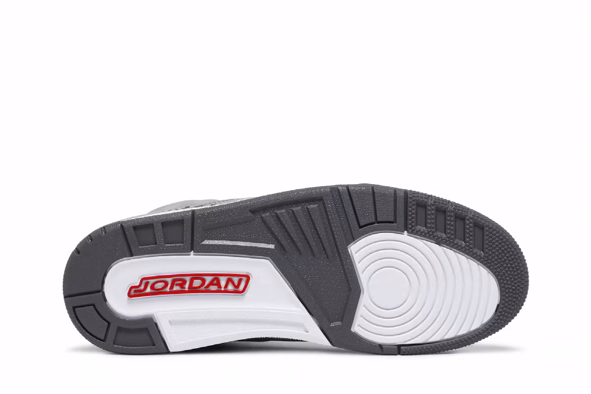 Air Jordan 3 Cool Grey 2021, view 5