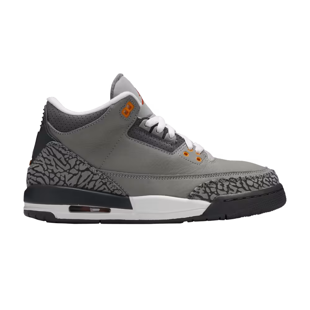 Air Jordan 3 GS Cool Grey 2021