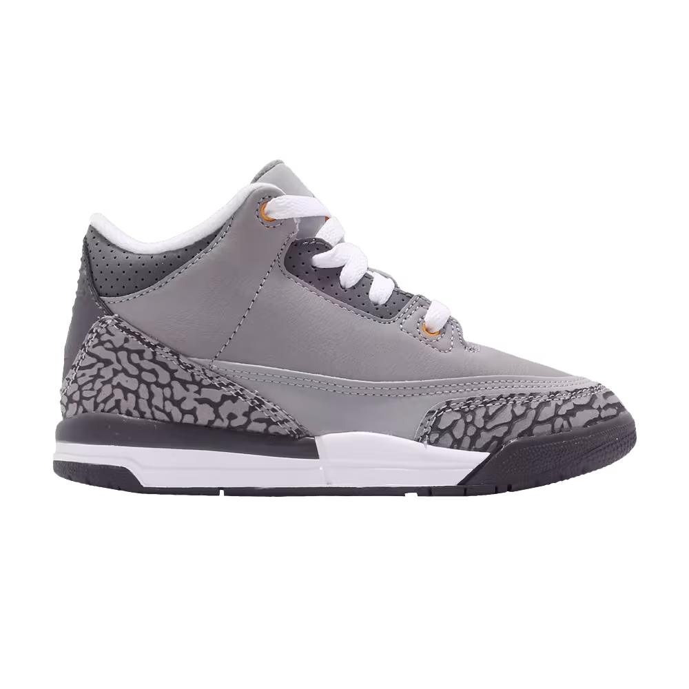 Air Jordan 3 PS Cool Grey 2021