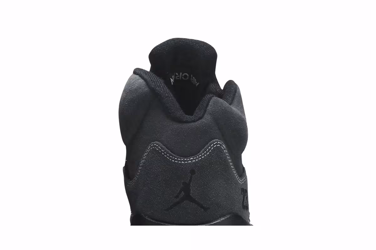Air Jordan 5 Anthracite, view 8