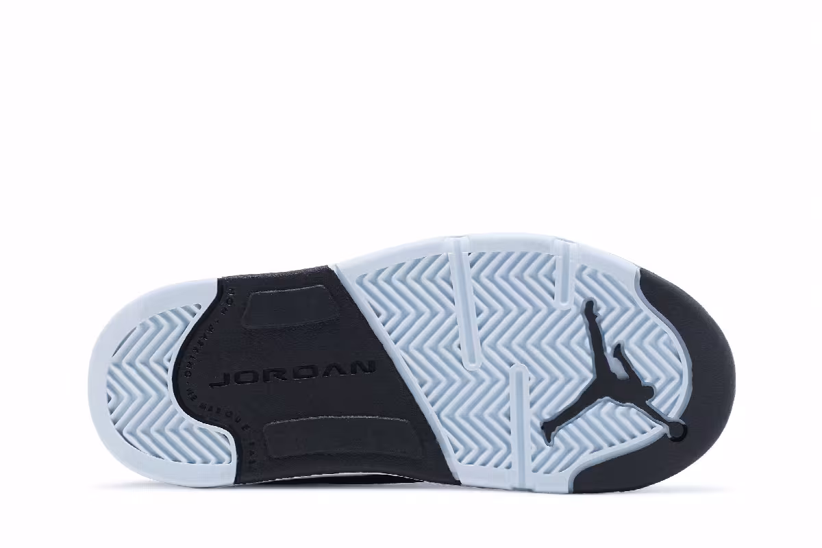 Air Jordan 5 TD Oreo 2021, view 5