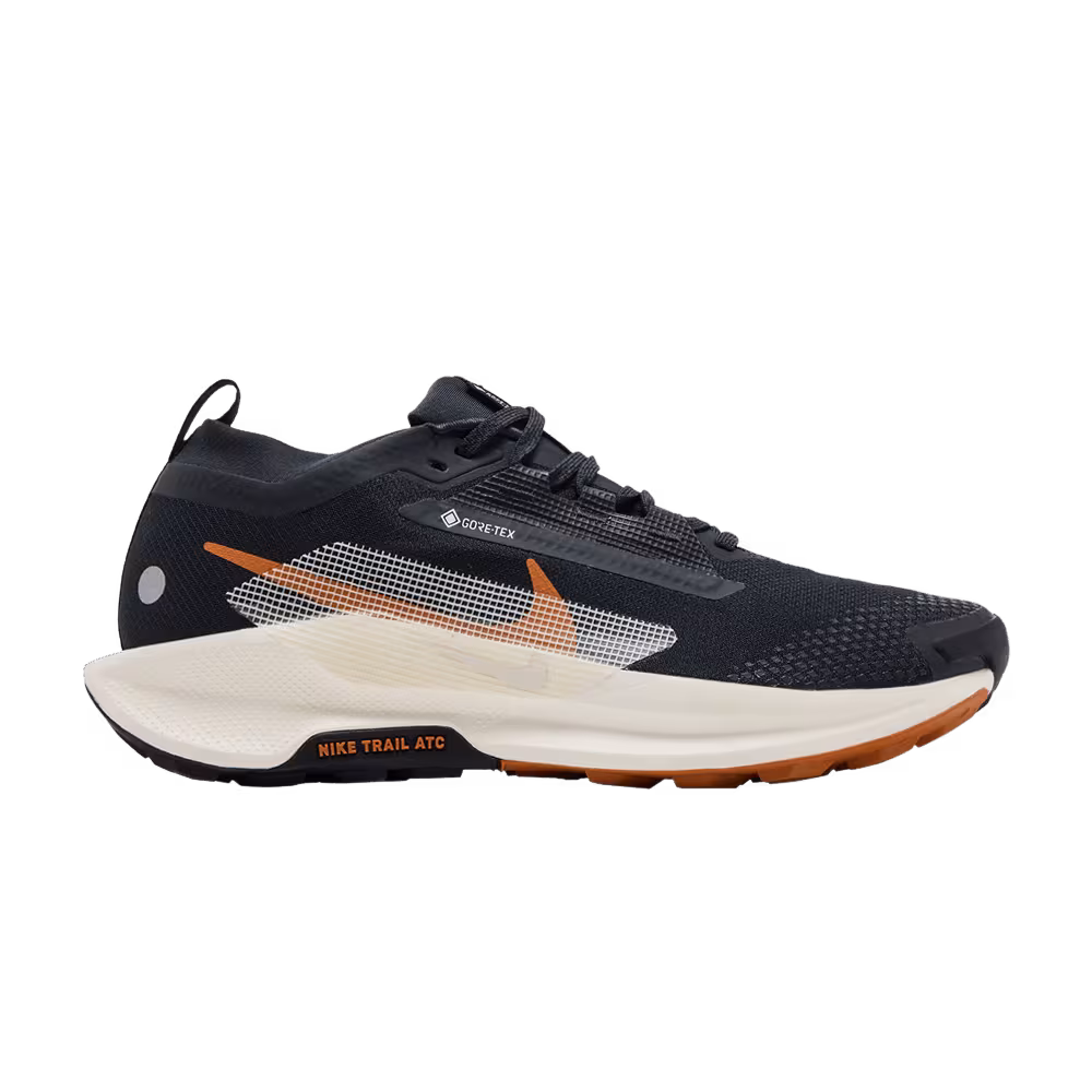 Nike Pegasus Trail 5 GORE-TEX Black Monarch