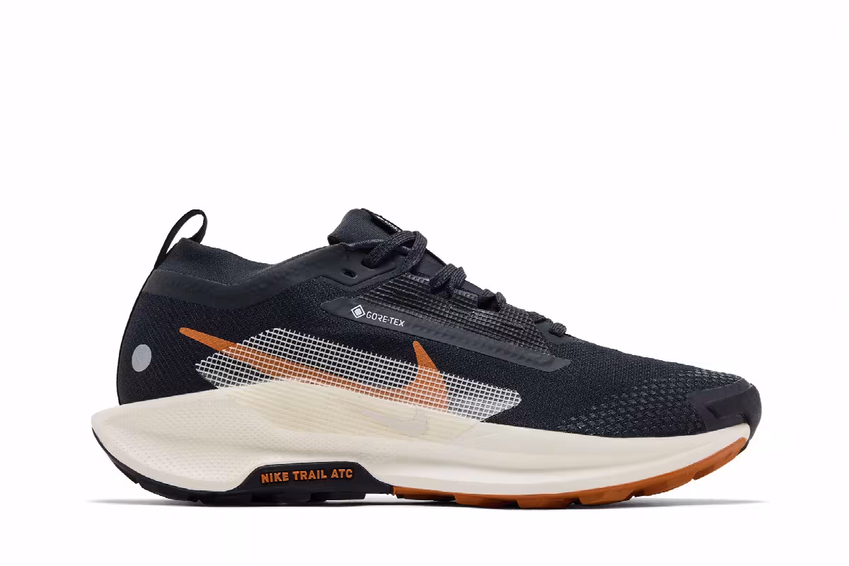 Nike Pegasus Trail 5 GORE-TEX Black Monarch, view 2