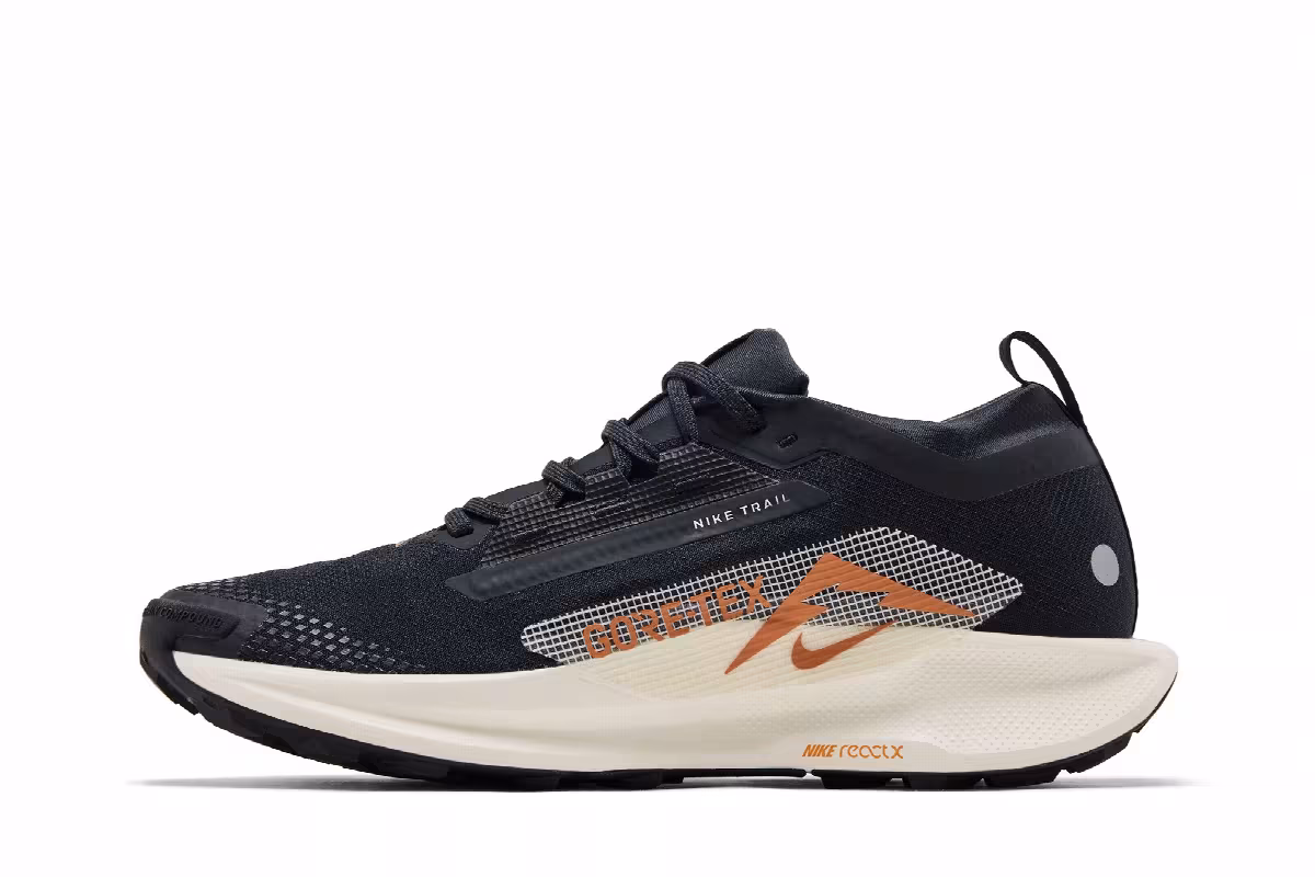 Nike Pegasus Trail 5 GORE-TEX Black Monarch, view 4