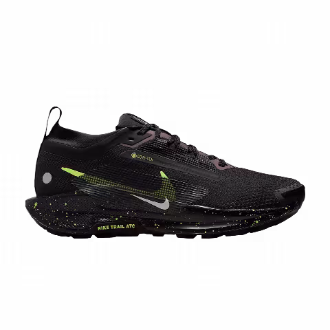 Nike Pegasus Trail 5 GORE-TEX 'Black Phantom'