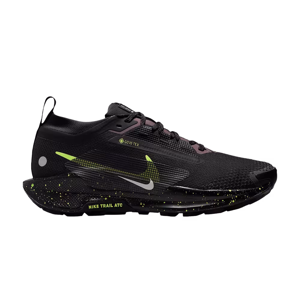 Nike Pegasus Trail 5 GORE-TEX Black Phantom