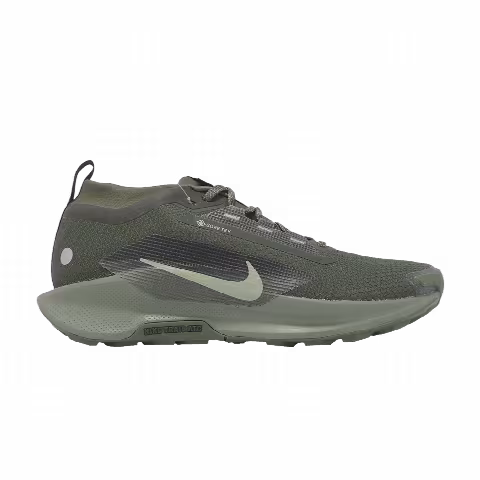 Nike Pegasus Trail 5 GORE-TEX 'Sequoia Cargo Khaki'