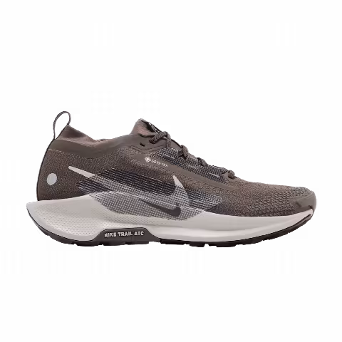 Nike Pegasus Trail 5 GORE-TEX 'Ironstone Velvet Brown'