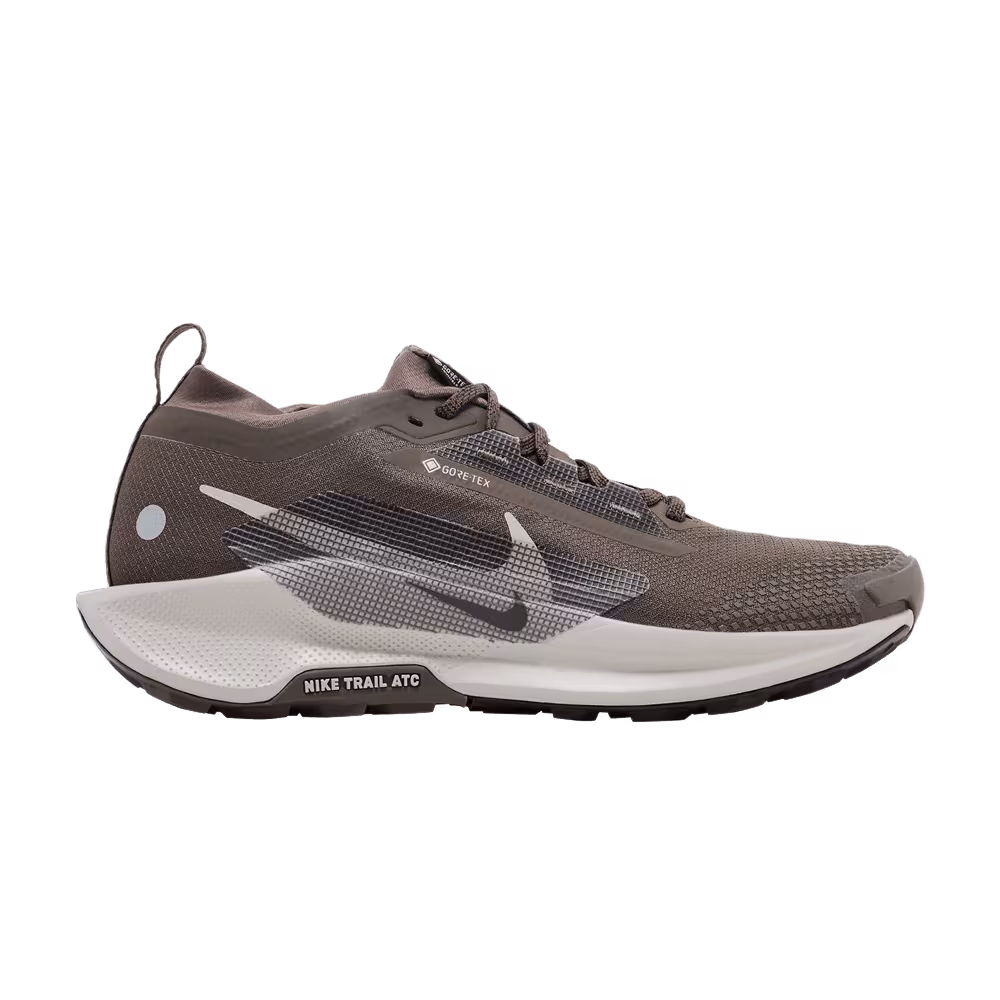 Nike Pegasus Trail 5 GORE-TEX Ironstone Velvet Brown