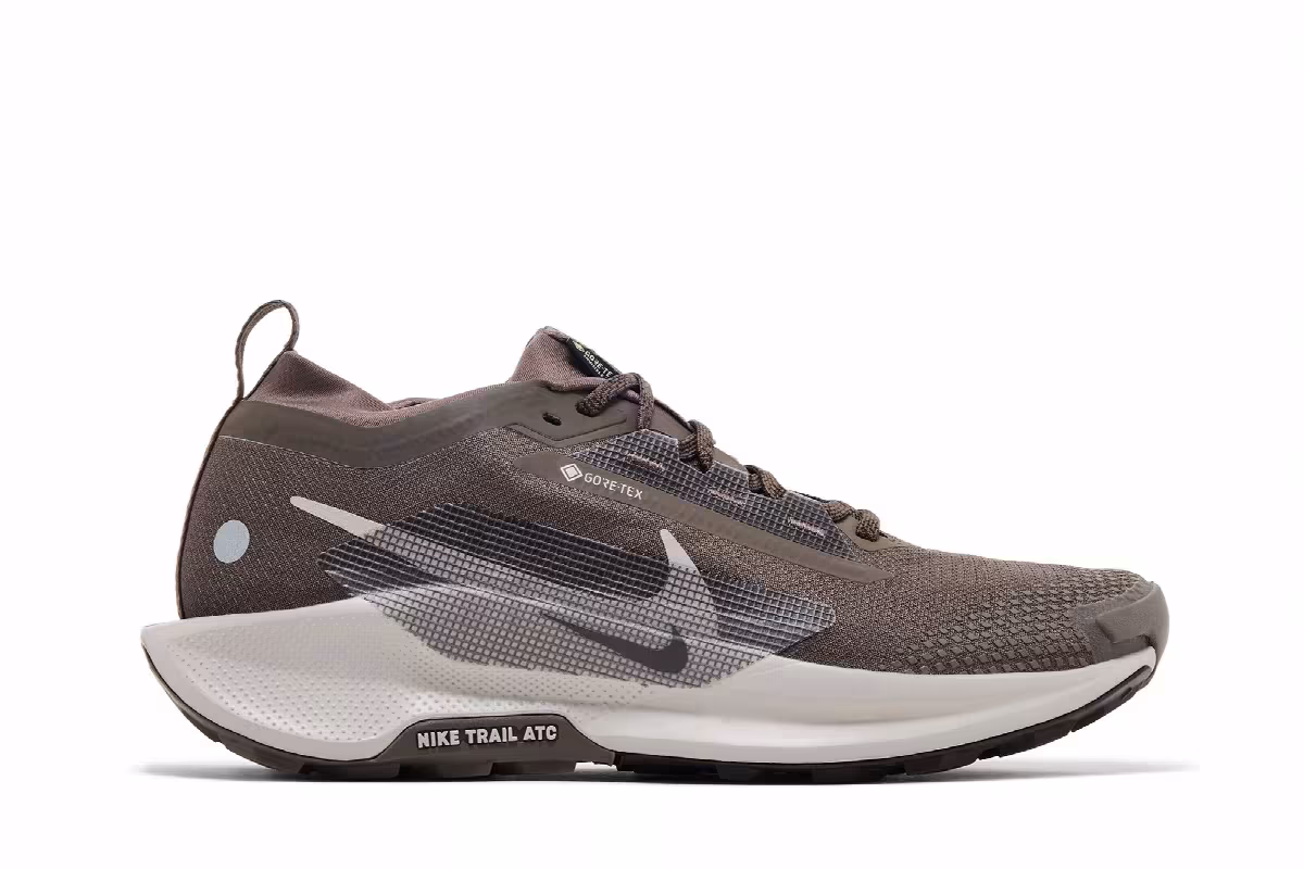Nike Pegasus Trail 5 GORE-TEX Ironstone Velvet Brown, view 2