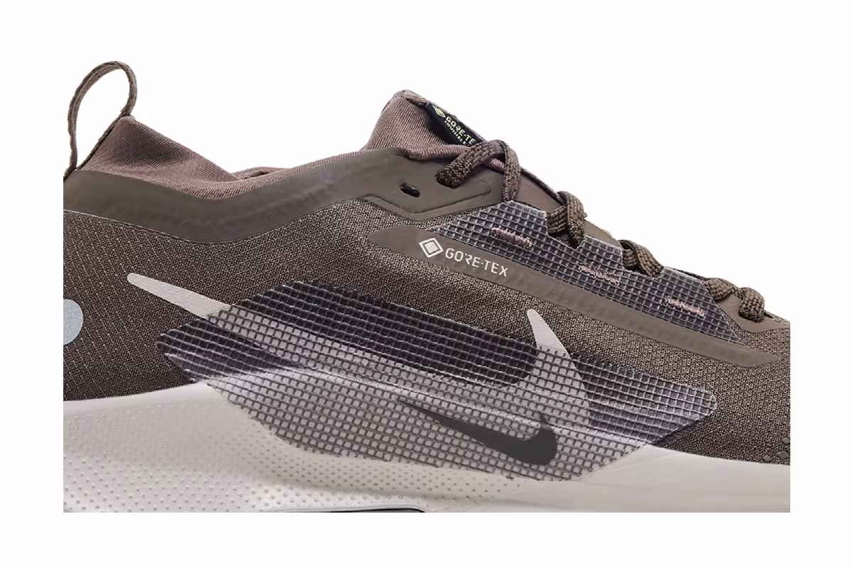 Nike Pegasus Trail 5 GORE-TEX Ironstone Velvet Brown, view 3