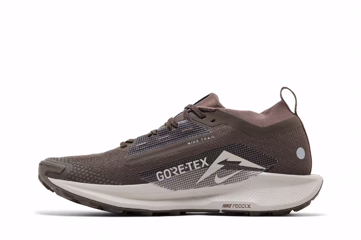 Nike Pegasus Trail 5 GORE-TEX Ironstone Velvet Brown, view 4