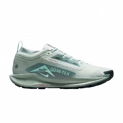 Nike Pegasus Trail 5 GORE-TEX 'Light Silver Clay Green'