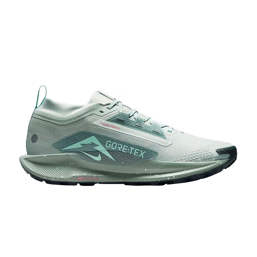 Nike Pegasus Trail 5 GORE-TEX Light Silver Clay Green