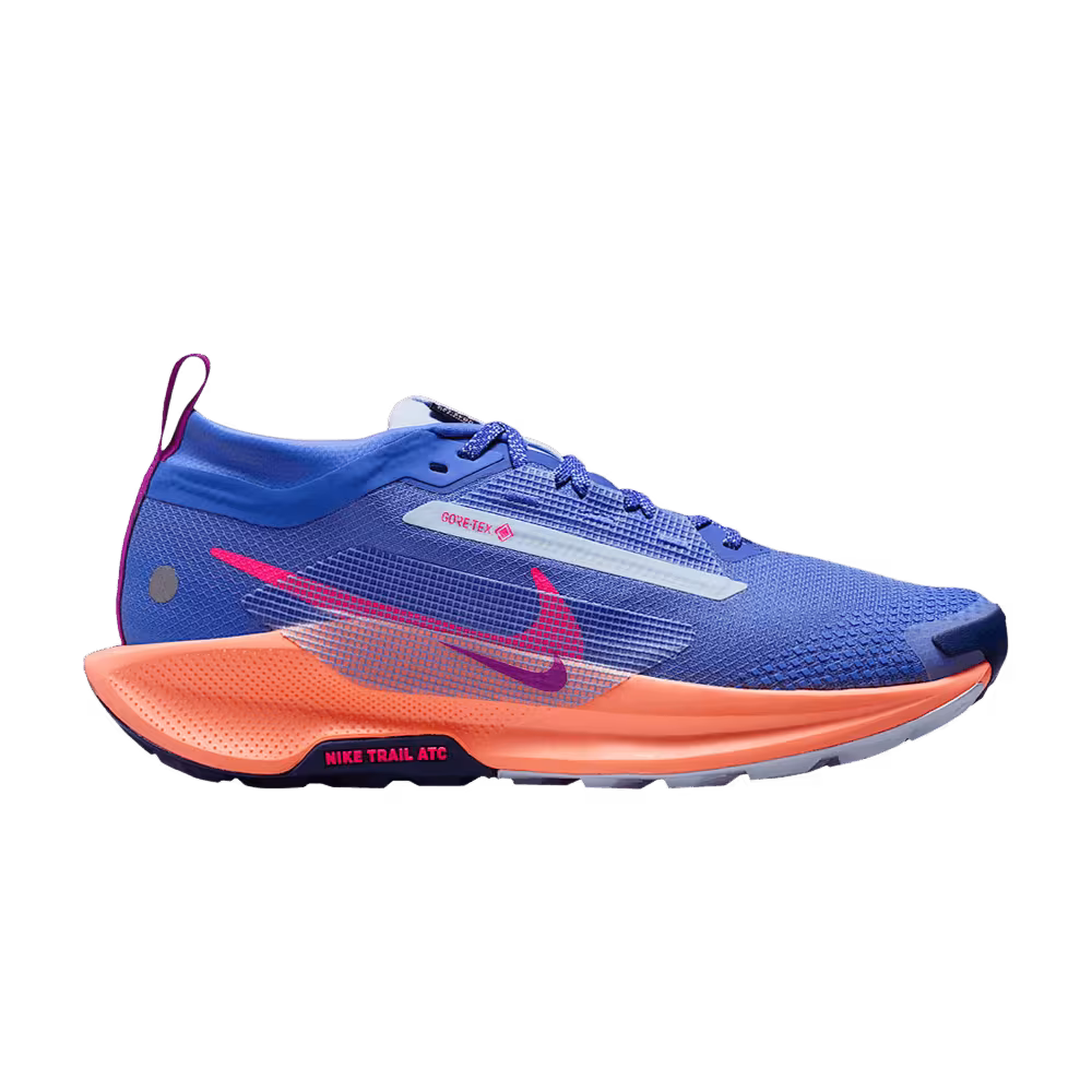 Nike Pegasus Trail 5 GORE-TEX Sapphire
