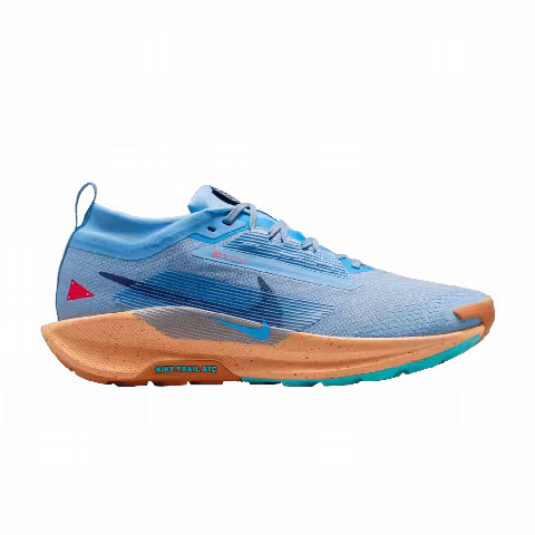 Nike Pegasus Trail 5 GORE-TEX 'Blue Beyond Copper Moon'
