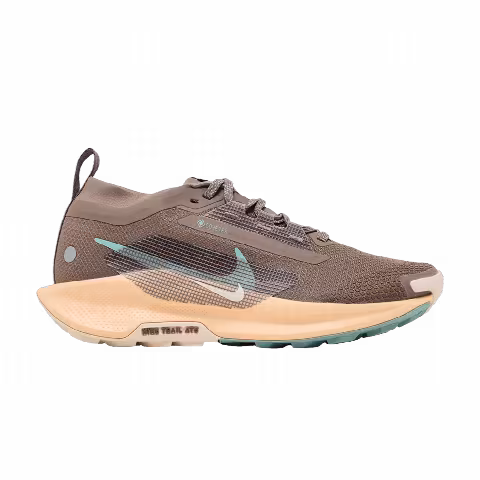 Nike Wmns Pegasus Trail 5 GORE-TEX 'Mink Brown Orange Chalk'