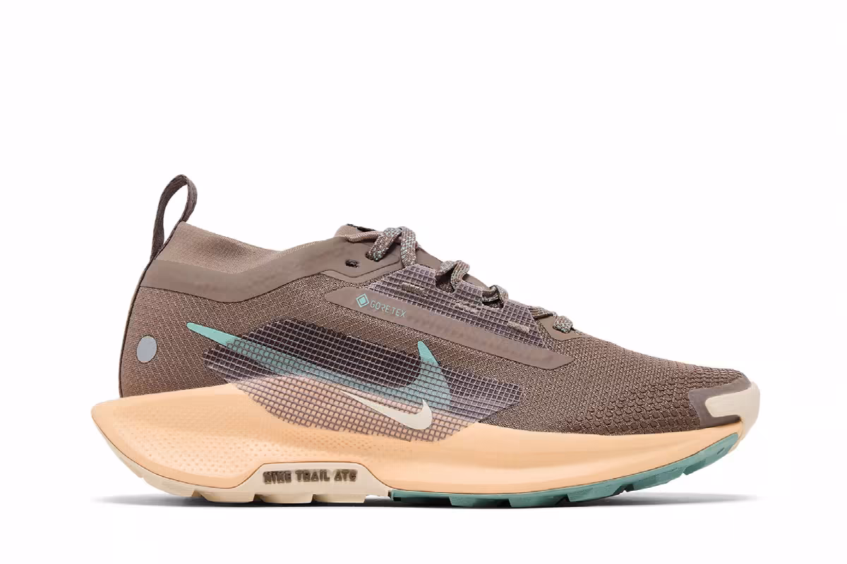 Nike Women's Pegasus Trail 5 GORE-TEX Mink Brown Orange Chalk, view 2