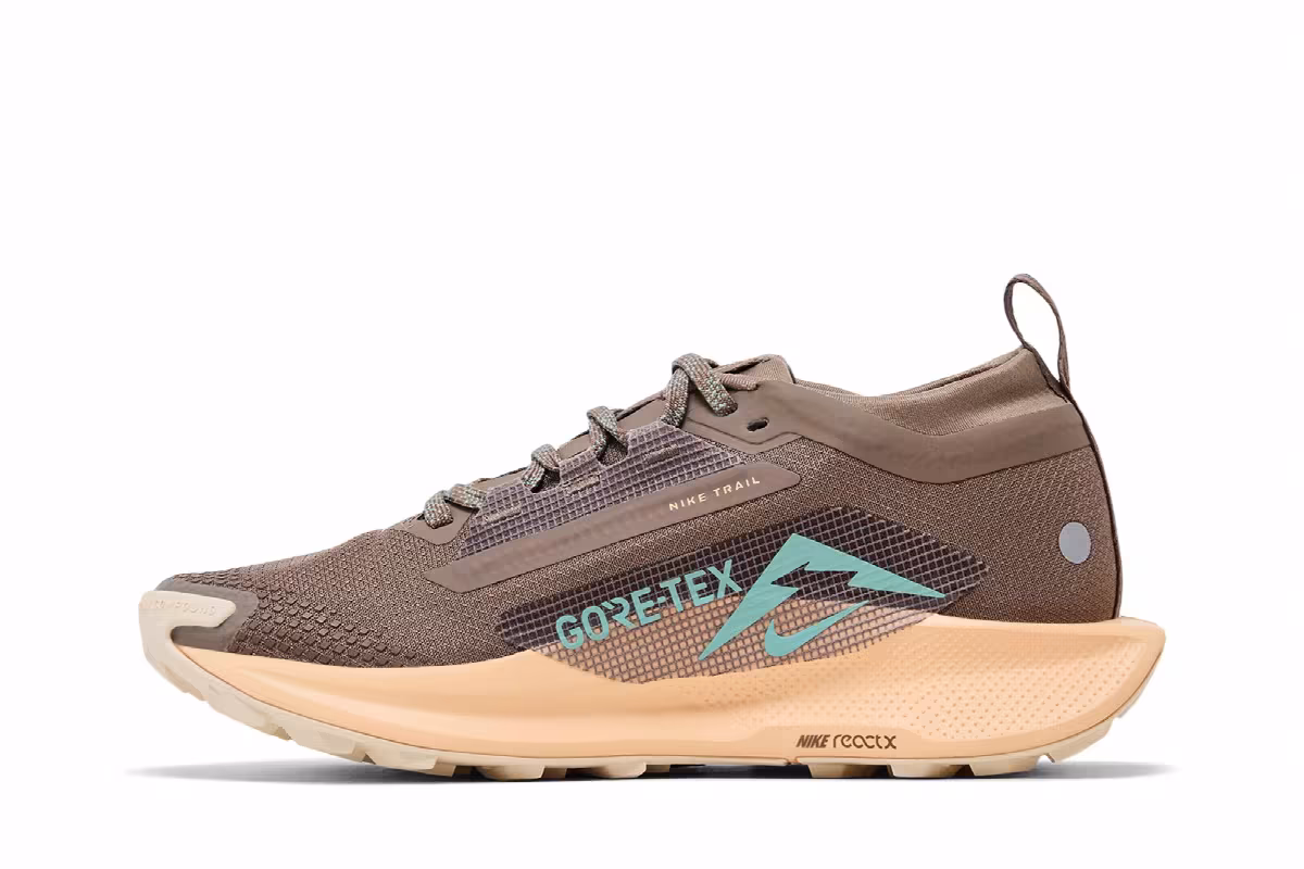 Nike Women's Pegasus Trail 5 GORE-TEX Mink Brown Orange Chalk, view 4