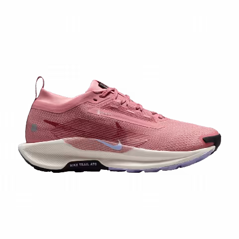 Nike Wmns Pegasus Trail 5 GORE-TEX 'Red Stardust'