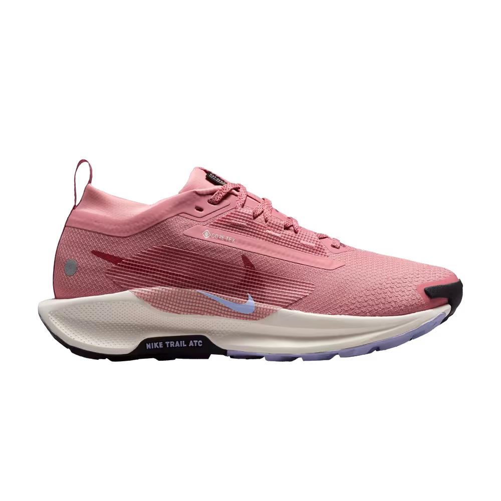 Nike Women's Pegasus Trail 5 GORE-TEX Red Stardust