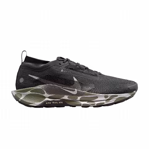 Nike Pegasus Trail 5 GORE-TEX 'Anthracite Light Army'