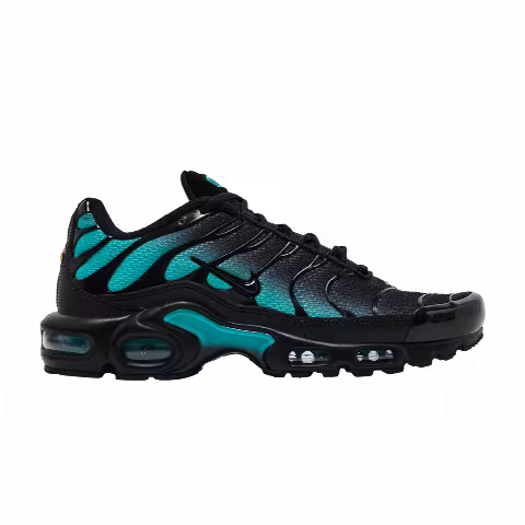 Nike Air Max Plus 'Black Dusty Cactus'