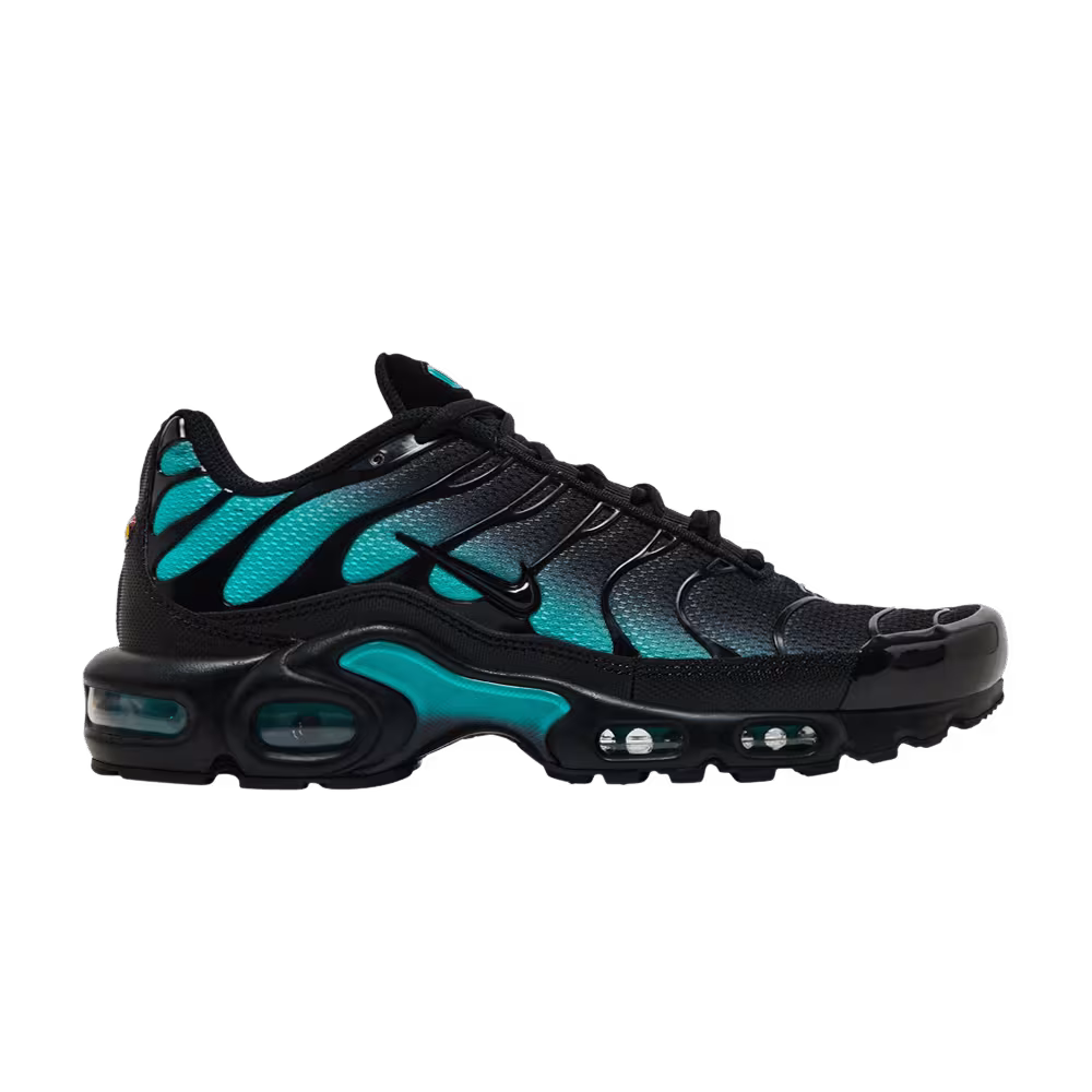 Nike Air Max Plus Black Dusty Cactus