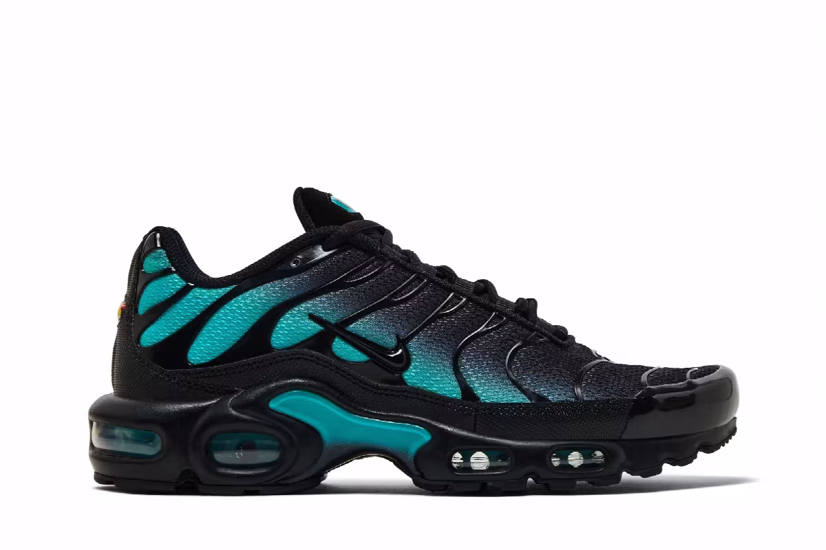Nike Air Max Plus Black Dusty Cactus, view 2