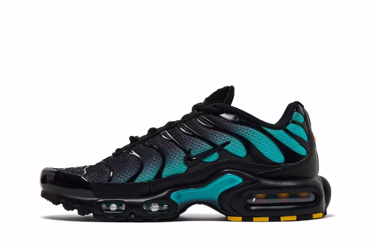 Nike Air Max Plus Black Dusty Cactus, view 4