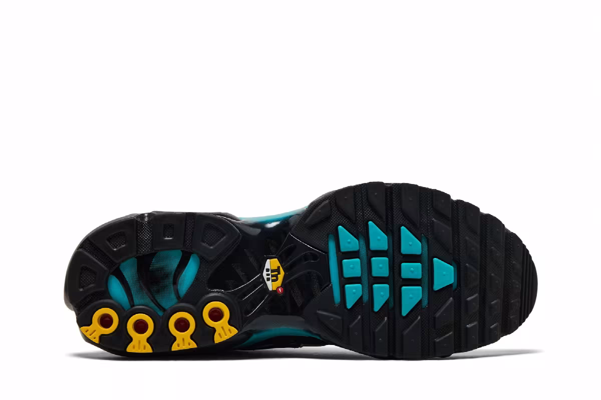 Nike Air Max Plus Black Dusty Cactus, view 5