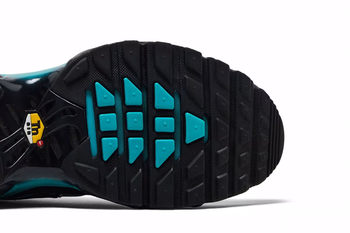 Nike Air Max Plus Black Dusty Cactus, view 6