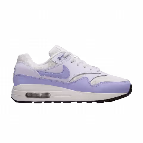 Nike Air Max 1 GS 'Hydrangeas'